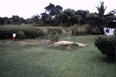 Las Lomas