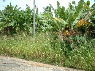Land for Sale - Leisureville Drive, Mayaro